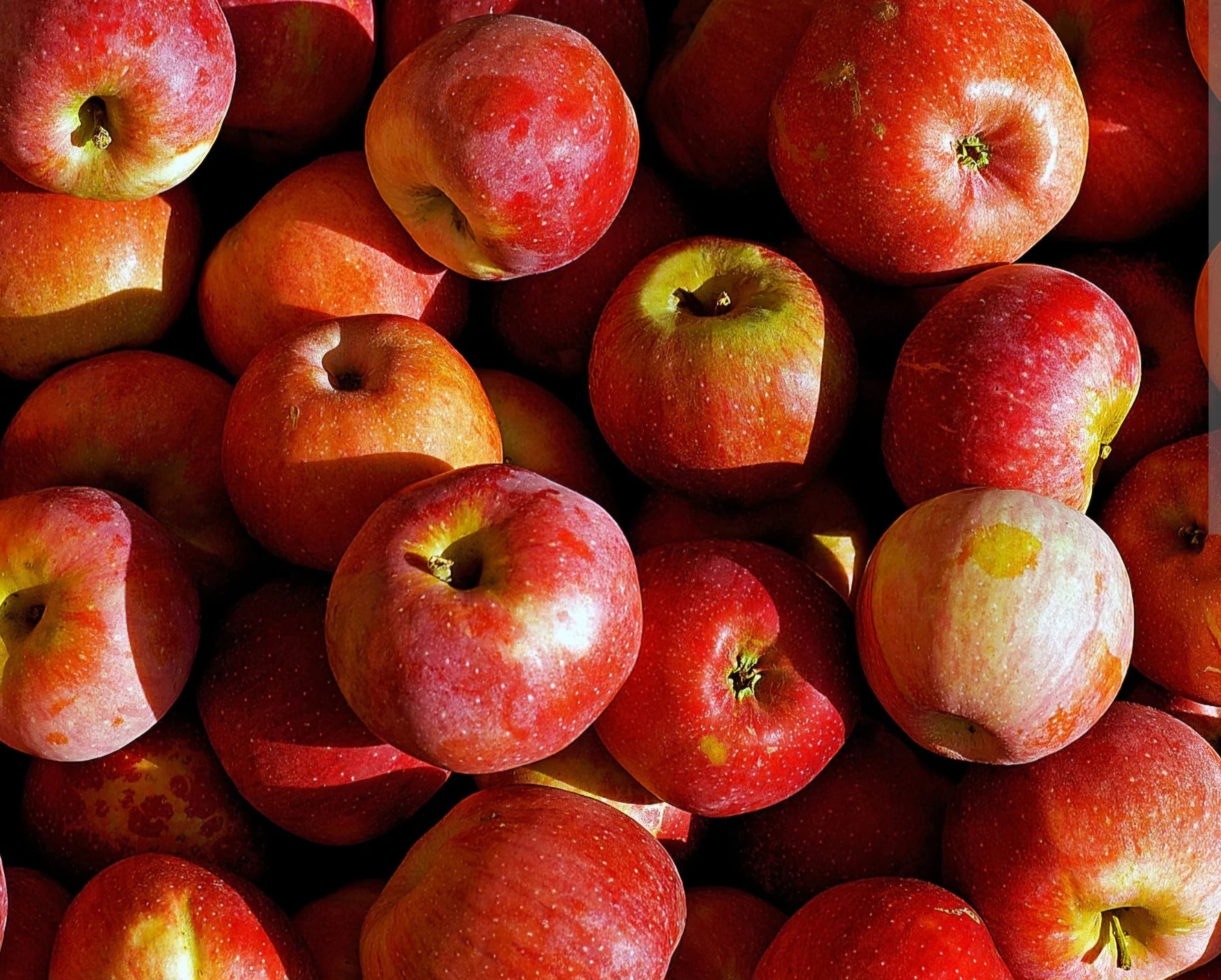 Pomme